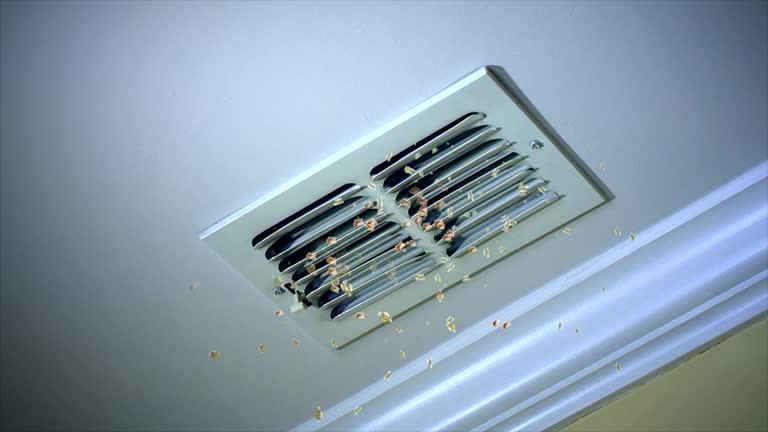 Best Dryer Vent Cleaning Services  in Liberty, SC